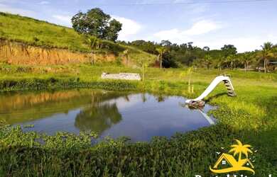 Imagem: A fazenda possui 200m² de Área, Piscina, Área de serviço