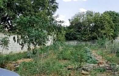 Imagem: O terreno possui 1.100m² de Área e está localizado em Estância