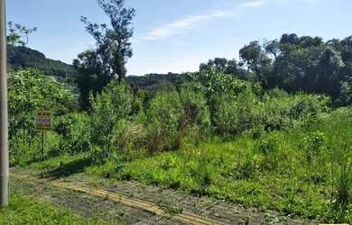 Imagem 6: Terreno para Venda em Nova Petrópolis, Linha Imperial