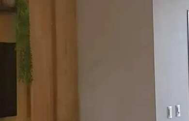 Imagem 9: Vende-se Casa Semi Mobiliada (590,65m²) Jlle, Petropolis, Rua Augusto Ernesto nº 545 R$2