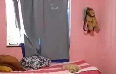 Imagem: A casa possui 2 Dormitórios, 2 Banheiros, 1 Vaga na garagem