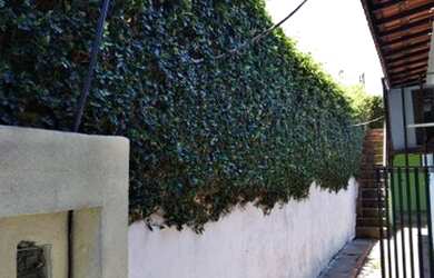 Imagem 8: Casa com 3 dormitórios - venda por R$ 800.000 ou aluguel por R$ 3./mês...