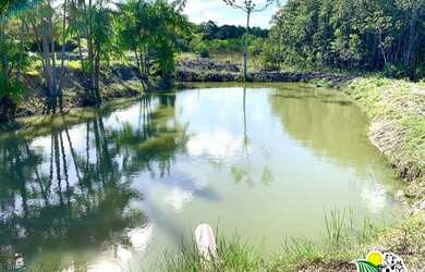 Imagem 9: Fazenda de Coco Verde à Venda na Bahia Fazenda de Aquicultura Maricultura...