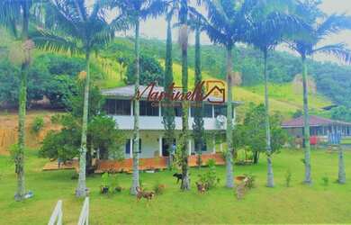 Imagem: A fazenda possui 150000m² de Área e está localizado em Alfredo