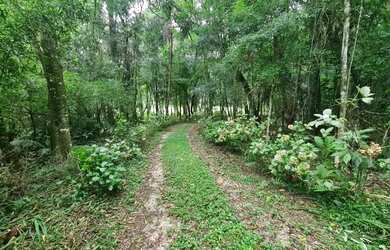 Imagem 2: sitio. Imóvel novoe38.000m² de Área