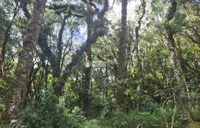 Imagem: O terreno possui 745m² de Área e está localizado em Canela