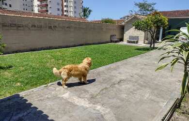Imagem 1: Casa para venda praia Martin de Sá- Caraguatatuba - SP