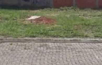 Imagem: O terreno possui 254m² de Área e está localizado em Alto