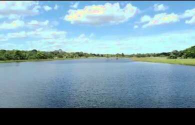 Imagem 4: Vende-se uma excelente fazenda de 1.100 hectares