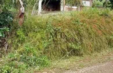 Imagem 16: Sítio bairro Linha Brasil, Nova Petrópolis.RS Ref. 134