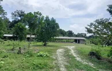 Imagem 7: Sítio no Novo Airão kM 04