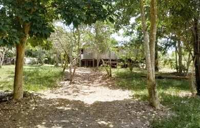 Imagem 16: Sítio no Novo Airão kM 04