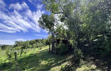 Imagem 13: Sítio - Bairro Linha Nova