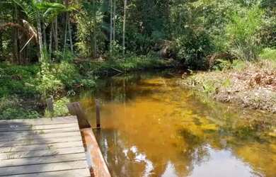 Imagem 14: Sítio no Novo Airão kM 04