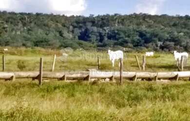 Imagem: A fazenda possui 5154600m² de Área e está localizado em Caiapônia