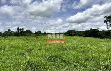 Imagem 3: Beira Rio - Chácara 1.36 alqueires 66.000 metros Santa Cruz de Goiás