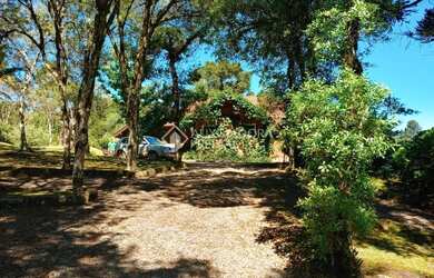 Imagem 5: SÍTIO NO BAIRRO ULISSES DE ABREU EM CANELA