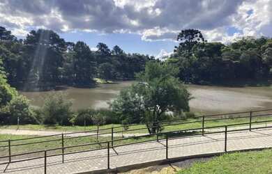 Imagem 10: Terreno - Bairro Carniel. 487m² de Área