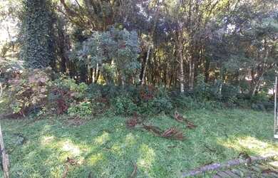 Imagem 10: Terreno à Venda em Canela