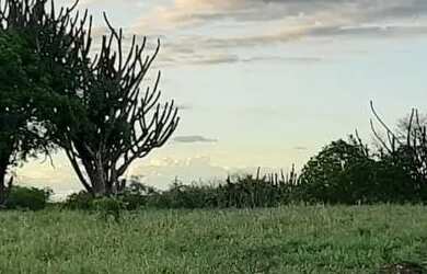 Imagem 3: Lote em Condomínio de chácaras