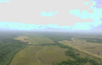 Imagem 2: Fazenda 450 hectares documentada dupla aptidão por R$30 mil o alqueire