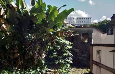 Imagem: A casa possui 2 Dormitórios, 1 Banheiro, 2 Vagas na garagem