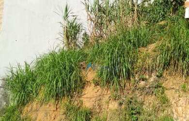 Imagem 7: Terreno à venda, 230 m² por R$ 180.000,00 - Nossa Senhora de Fátima...