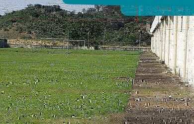 Imagem 7: GALPAO INDUSTRIAL em DUQUE DE CAXIAS - RJ, MANTIQUIRA
