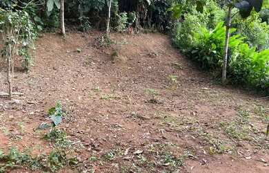 Imagem 5: Vendo terreno no pistao