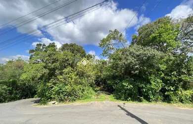 Imagem: O terreno possui 10.847m² de Área e está localizado em Gramado