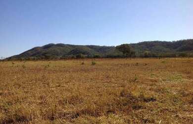 Imagem 11: OPORTUNIDADE ÚNICA Fazendinha de 38 hectares as margens da BR a 12 km...