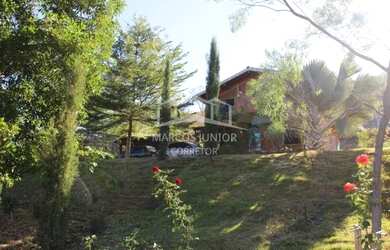 Imagem 3: Maravilhoso sítio na estrada da produção a 12 km de Moc todo formado