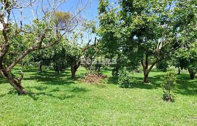 Imagem 5: TERRENO EM GRAMADO. 800m² de Área