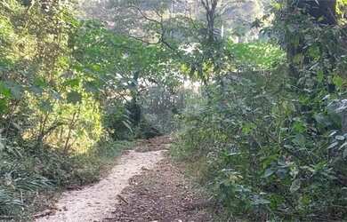 Imagem: O terreno possui 1250m² de Área e está localizado em Pirucaia