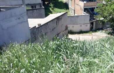 Imagem 7: AREA - CANGAÍBA - SP. 1.228m² de Área