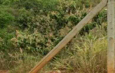 Imagem: O terreno possui 402m² de Área e está localizado em Tancredo