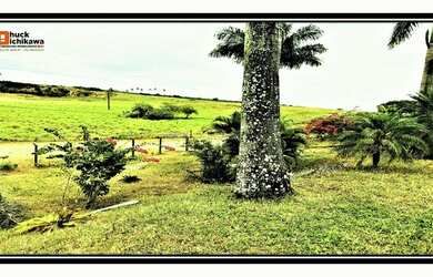 Imagem 8: Fazenda de 720 Tarefas. PiscinaeChurrasqueira