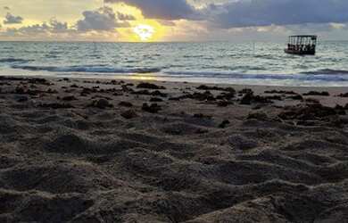 Imagem: O terreno possui 126m² de Área e está localizado em Porto