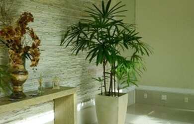 Imagem 4: Belíssimo Apartamento para venda com 89 metros quadrados com 3 quartos...