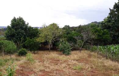 Imagem 1: Lote/Terreno para venda possui 428 metros quadrados em Bonfim - Santa...