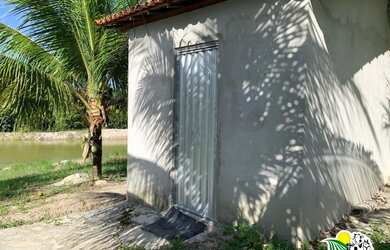 Imagem 10: Fazenda de Coco Verde à Venda na Bahia Fazenda de Aquicultura Maricultura...