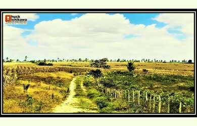 Imagem 3: Fazenda de 720 Tarefas. PiscinaeChurrasqueira