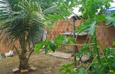 Imagem 2: Caza prá vender 50mil