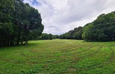 Imagem 3: sitio. Imóvel novoe38.000m² de Área