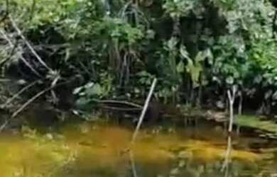 Imagem 2: Vende-se chácara c/ banho Próximo a Vila Recrear 40km de Boa Vista RR