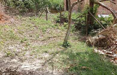 Imagem 8: Venda de 3 casas no mesmo terreno.sendo 2 de alvenaria.1 de Lage