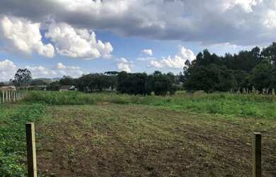 Imagem: A fazenda possui 4.000m² de Área e está localizado em Roseira