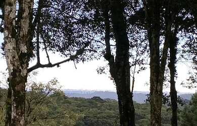 Imagem: O terreno possui 1.593m² de Área e está localizado em Gramado