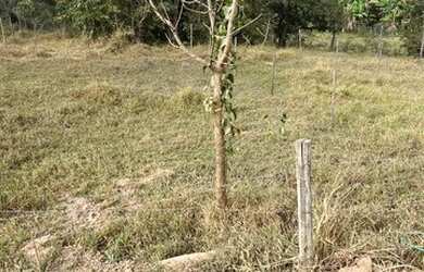 Imagem 9: Vendo lote em Betim ótimo preço