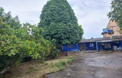 Imagem 3: Lote/Terreno para venda com 450 metros quadrados em Novo Aleixo - Manaus...